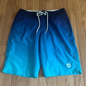 Hollister Mens Swim Trunks